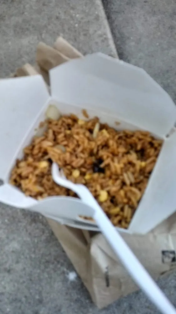 Plain Fried Rice
